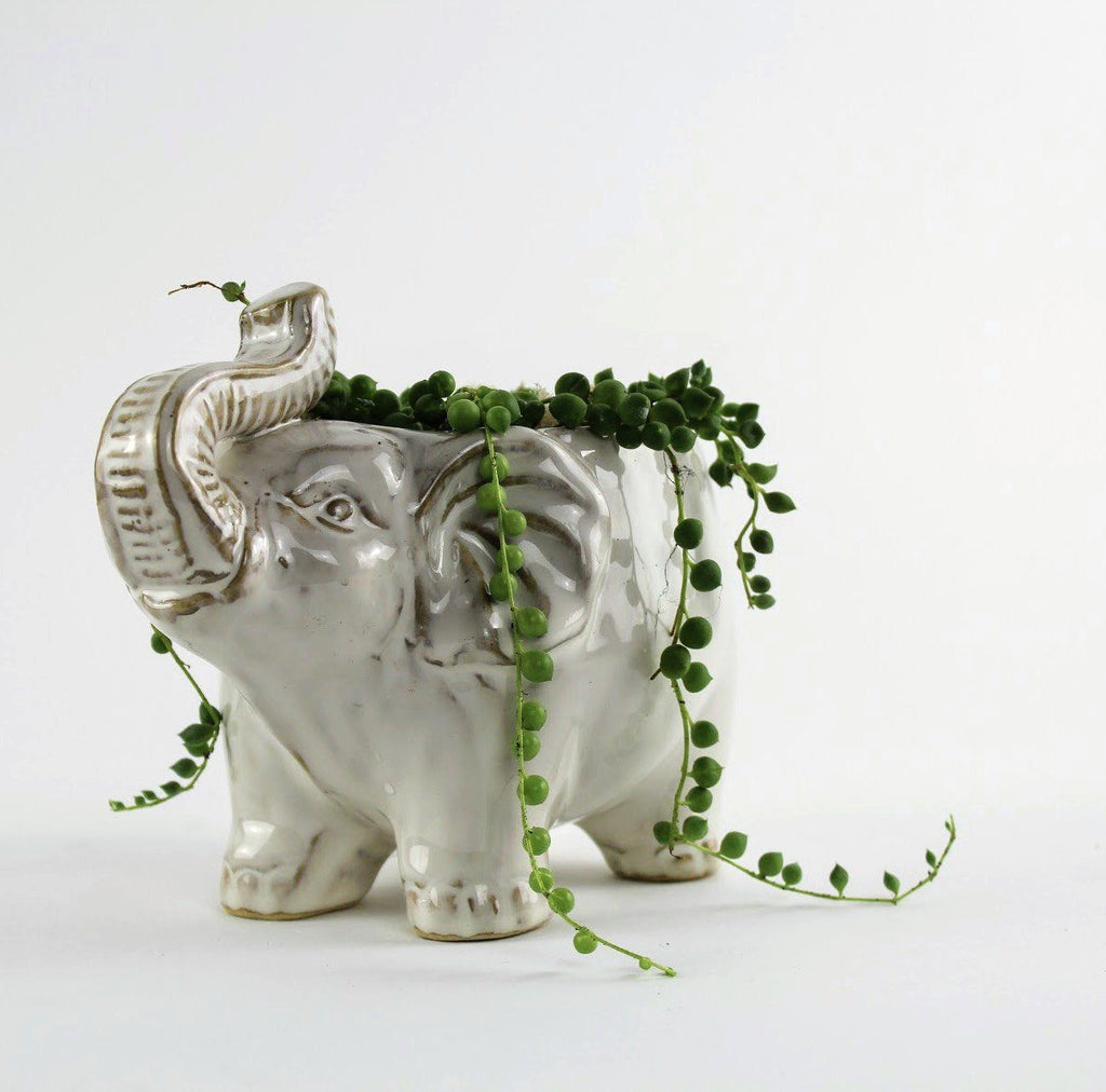 How To : Style the White Elephant Planter