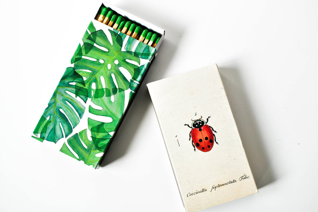 Monstera Leaf Matchbox Matches SproutSouth 
