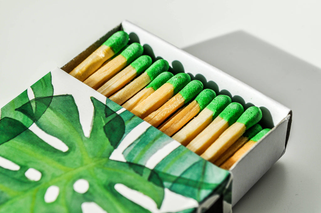 Monstera Leaf Matchbox Matches SproutSouth 