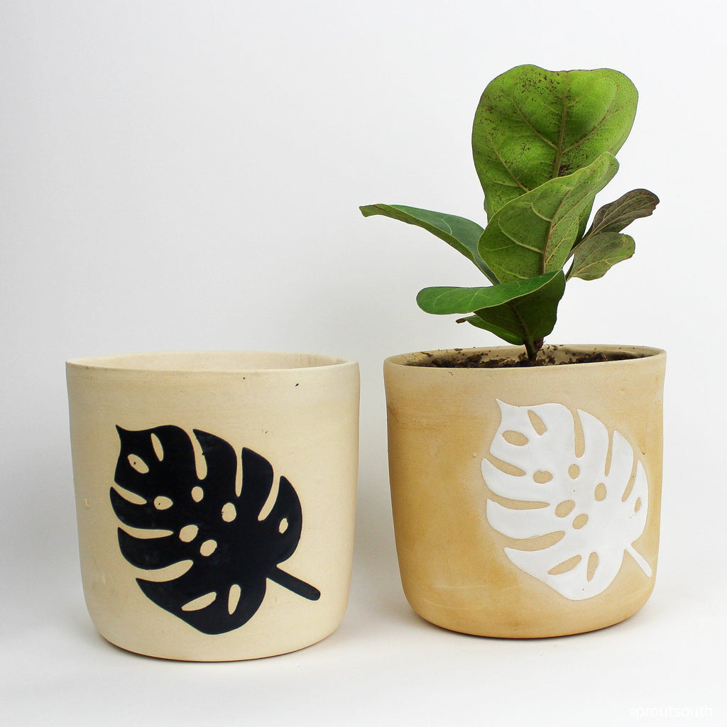 Small Monstera Leaf Ceramic Pot Planter SproutSouth 